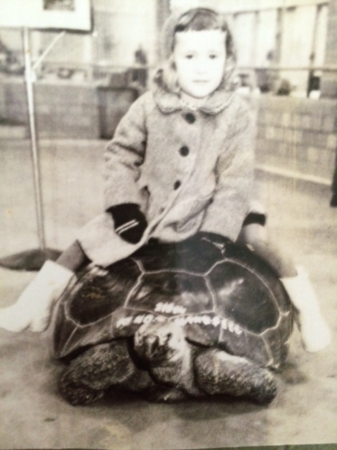 Colleen Lopez from HSN on a turtle